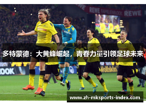 多特蒙德：大黄蜂崛起，青春力量引领足球未来
