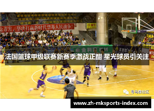 法国篮球甲级联赛新赛季激战正酣 星光球员引关注